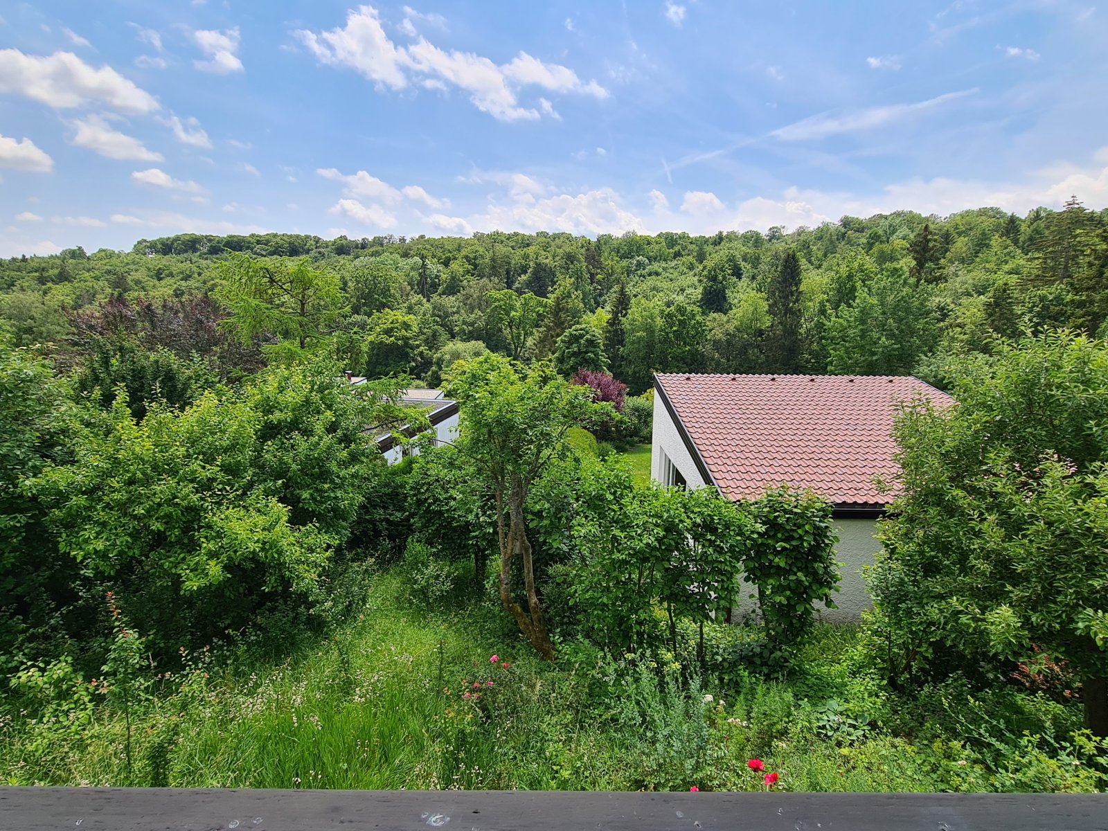 Blick von der Terrasse